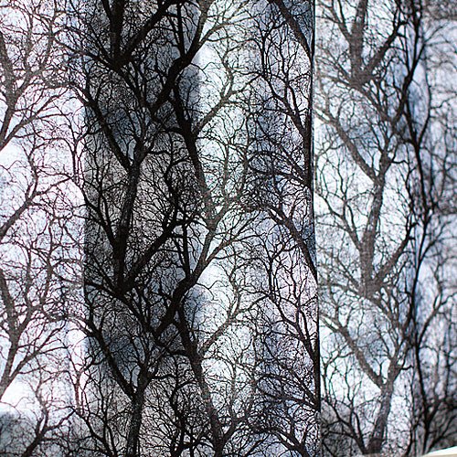 20수면평직-겨울나무