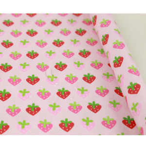 [DPT]20수면방수라미네이팅-딸기